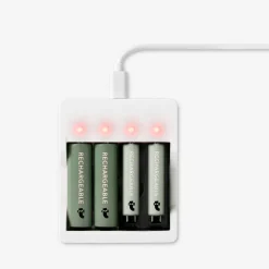 Battery charger. With rechargeable batteries