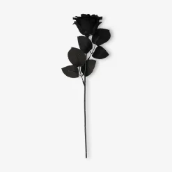 Decorative flower - Black rose