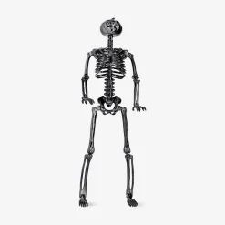 Decorative oilslick skeleton