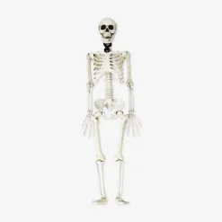 Decorative skeleton for hanging - 85 cm