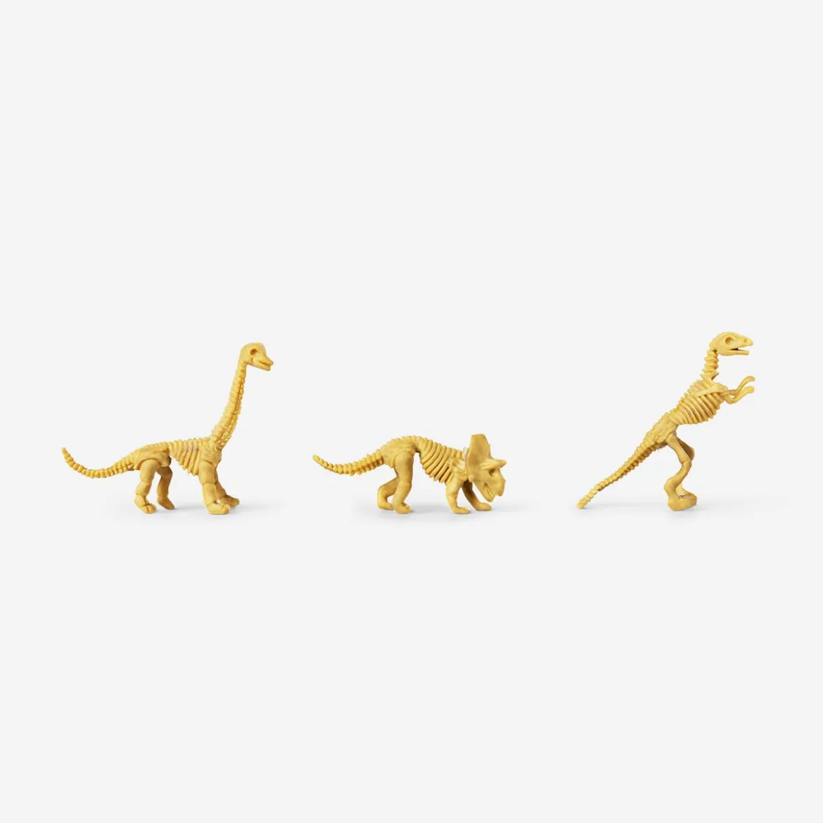 Excavation kit - Fossils