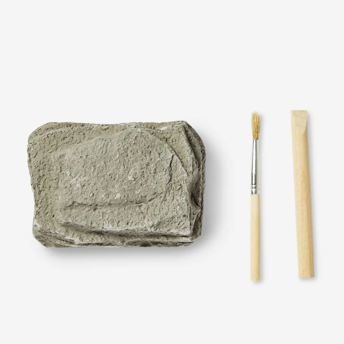 Excavation kit - Fossils