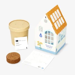 Grow kit - Marigold
