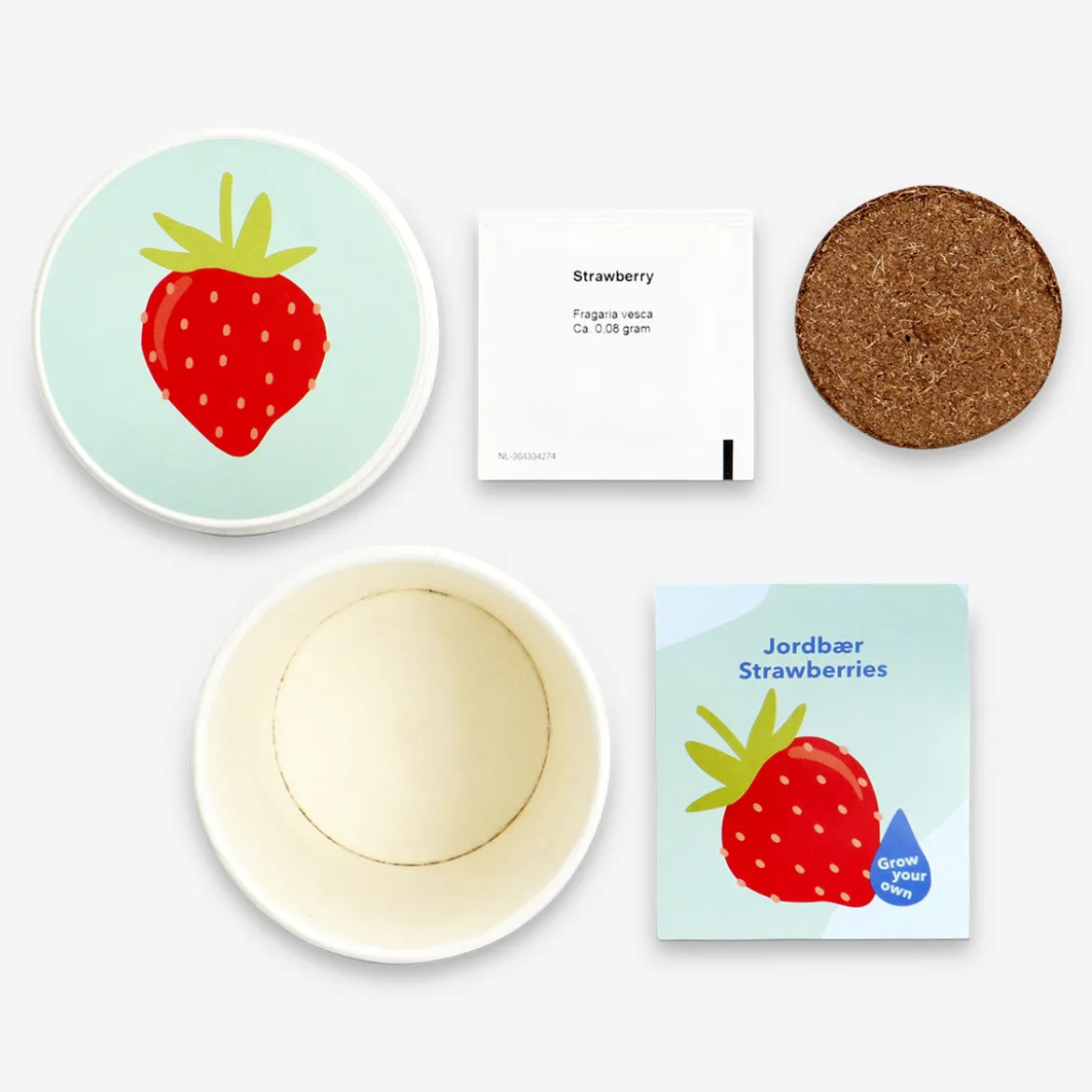 Grow kit - Strawberries
