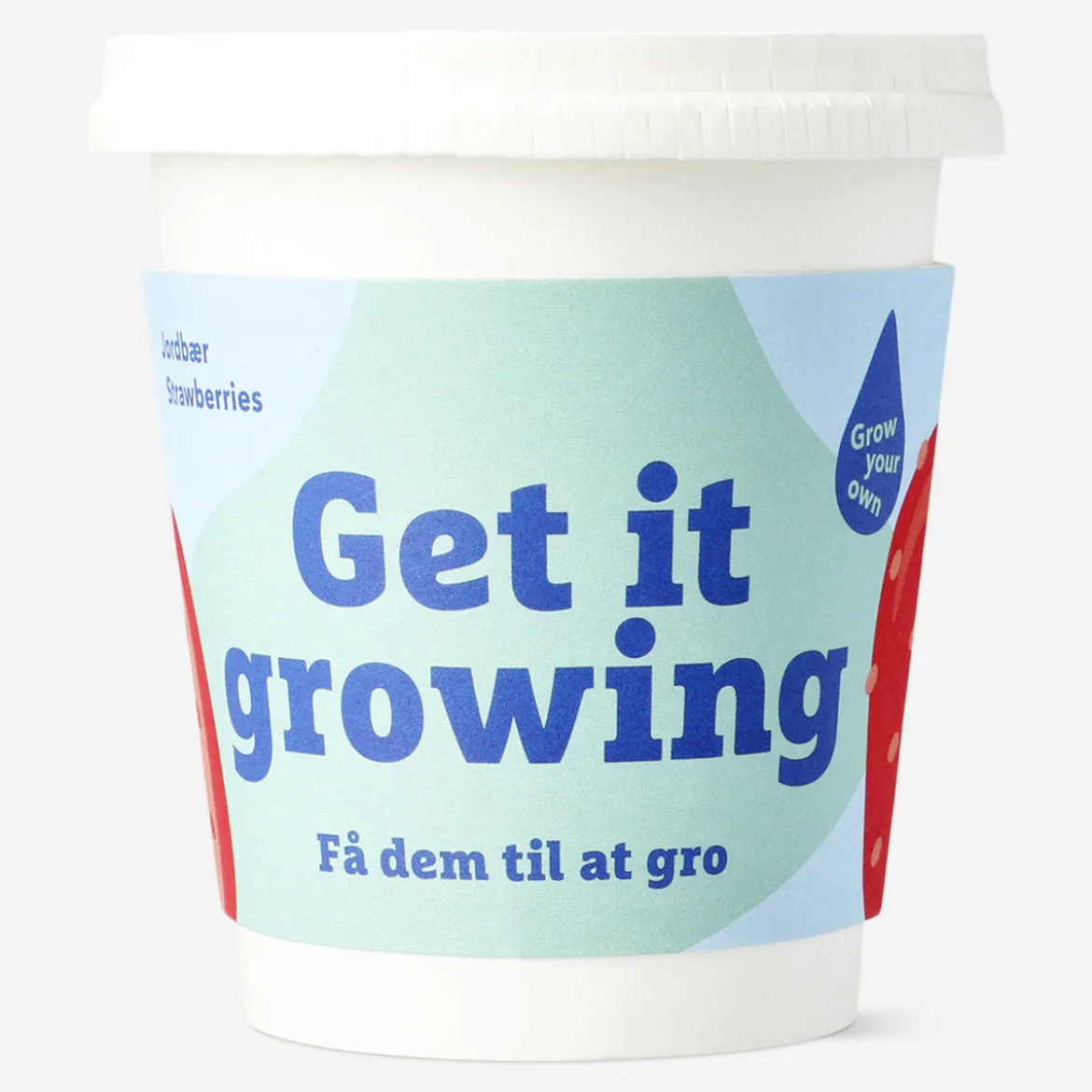 Grow kit - Strawberries
