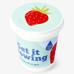 Grow kit - Strawberries