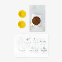 Grow kit - Watermelon and cucumber