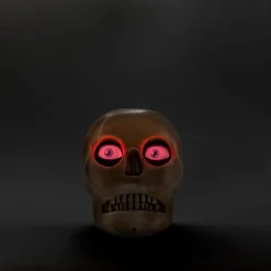 Haunted skull