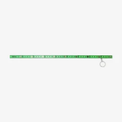 Key ring - Mini folding green ruler