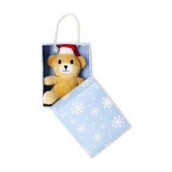 Plush toy - Mini teddy bear in a box