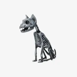 Skeleton cat