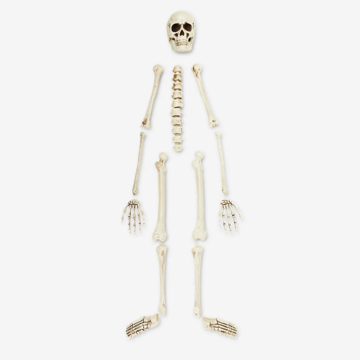 Skeleton set