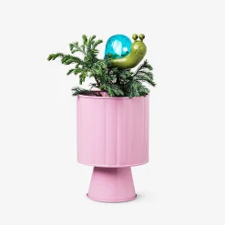 Solar cell snail lamp