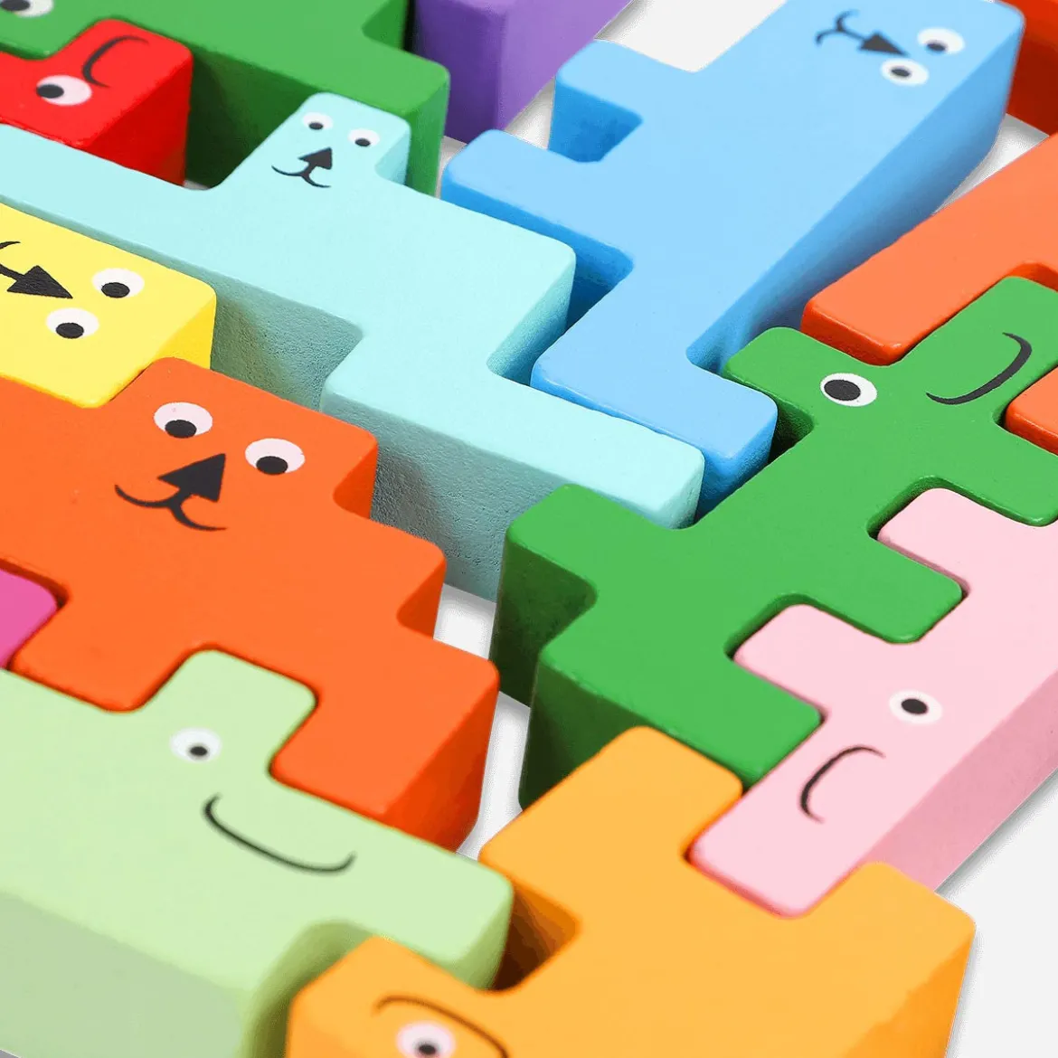 Wooden Jigsaw Puzzle - 19 pcs